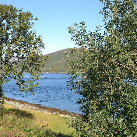 Kvaloya Lodge Futrikelv Zewnętrze zdjęcie