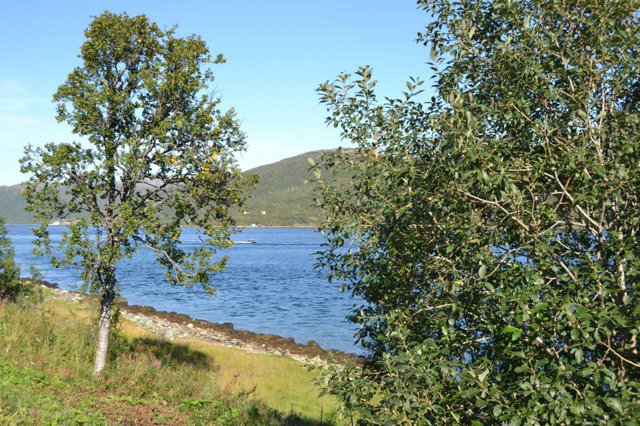 Kvaloya Lodge Futrikelv Zewnętrze zdjęcie